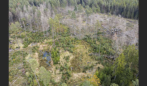 Thüringen (Thuringia)