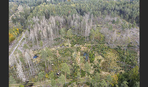 Thüringen (Thuringia)