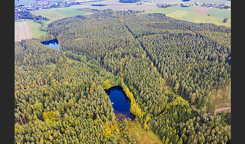 Thüringen (Thuringia)