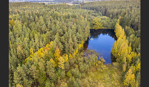 Thüringen (Thuringia)