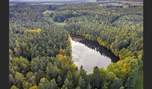 Thüringen (Thuringia)