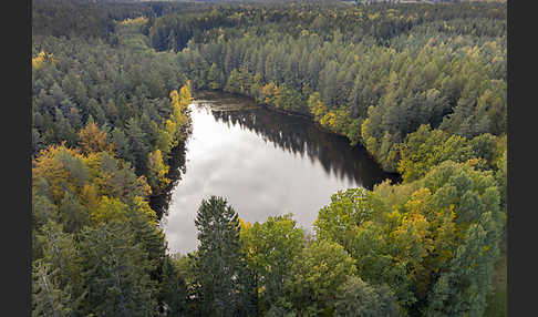 Thüringen (Thuringia)