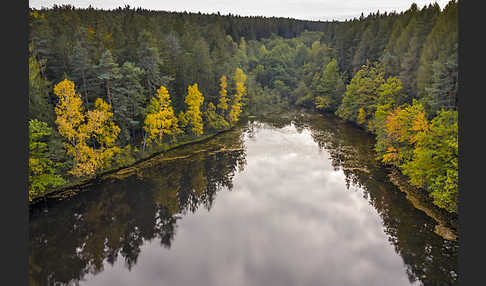 Thüringen (Thuringia)