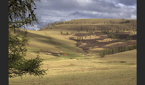 Mongolei (Mongolia)