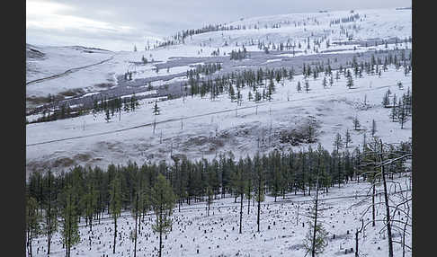 Mongolei (Mongolia)