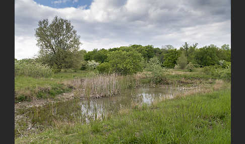 Thüringen (Thuringia)