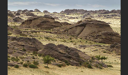 Mongolei (Mongolia)