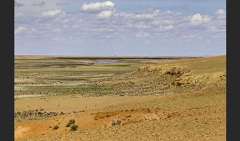 Mongolei (Mongolia)