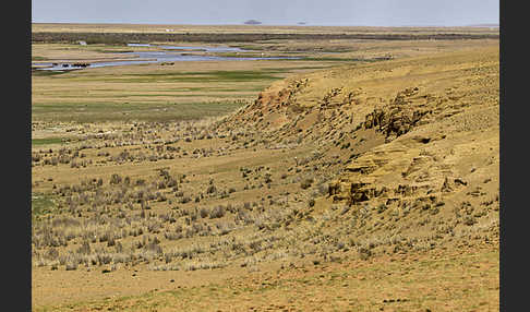 Mongolei (Mongolia)