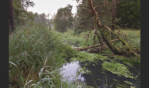 Deutschland (Germany)