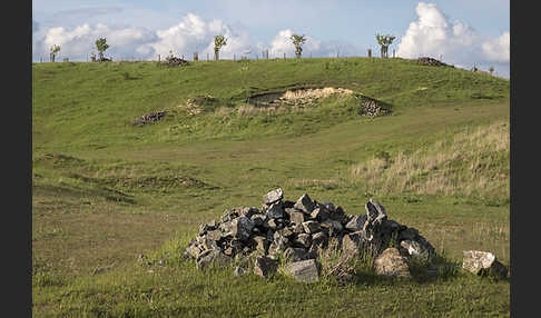 Thüringen (Thuringia)