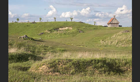 Thüringen (Thuringia)