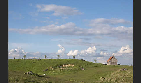 Thüringen (Thuringia)