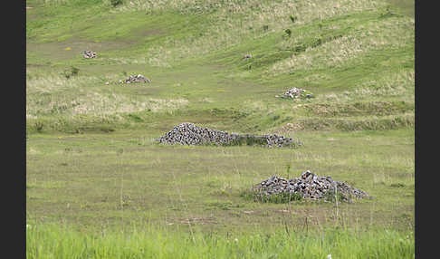 Thüringen (Thuringia)