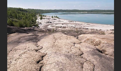 Kulturlandschaft (cultivated landscape)