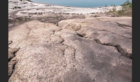 Kulturlandschaft (cultivated landscape)