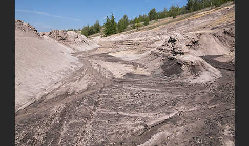 Kulturlandschaft (cultivated landscape)