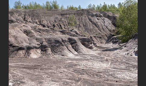 Kulturlandschaft (cultivated landscape)