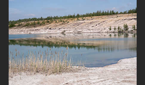 Kulturlandschaft (cultivated landscape)