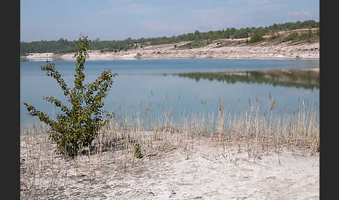 Kulturlandschaft (cultivated landscape)