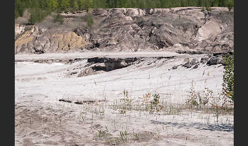 Kulturlandschaft (cultivated landscape)