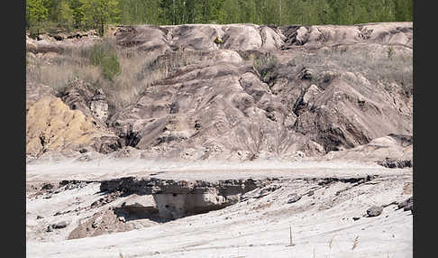 Kulturlandschaft (cultivated landscape)