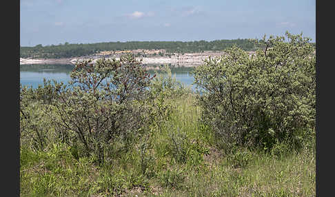 Kulturlandschaft (cultivated landscape)