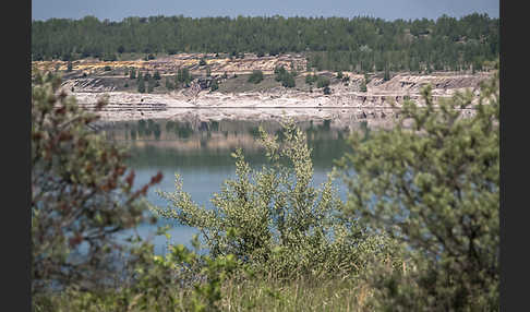 Kulturlandschaft (cultivated landscape)