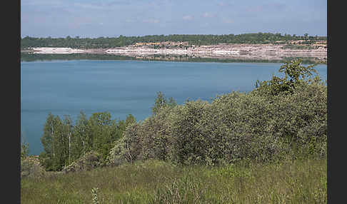 Kulturlandschaft (cultivated landscape)