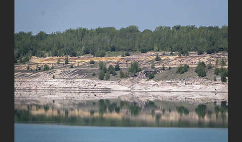 Kulturlandschaft (cultivated landscape)