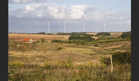 Kulturlandschaft (cultivated landscape)