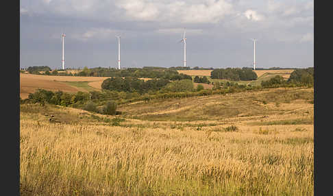 Kulturlandschaft (cultivated landscape)