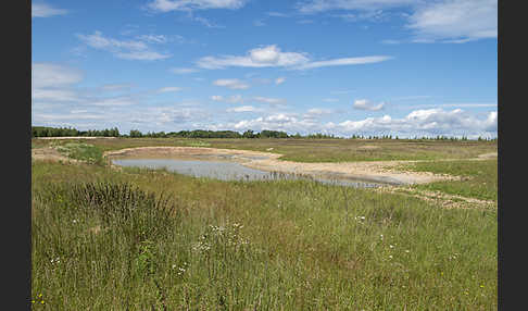 Thüringen (Thuringia)