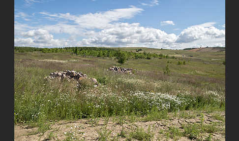 Thüringen (Thuringia)