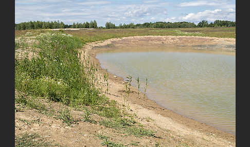 Thüringen (Thuringia)