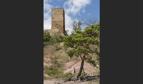 Thüringen (Thuringia)