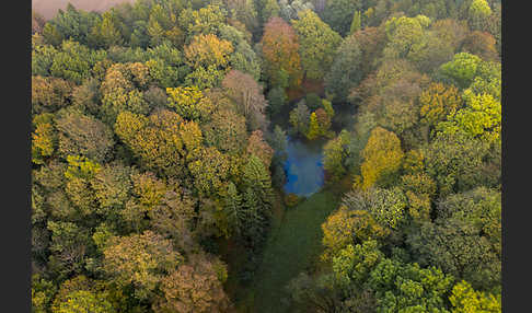 Thüringen (Thuringia)