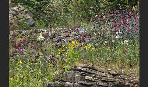 Garten (garden)