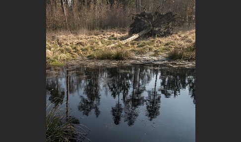 Thüringen (Thuringia)