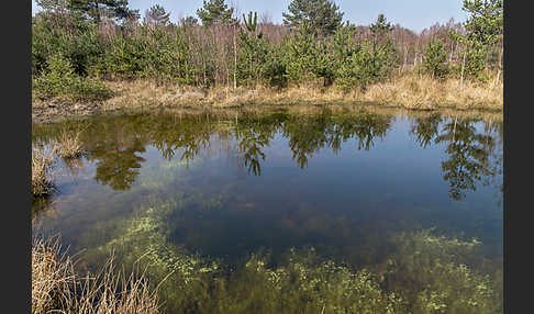 Thüringen (Thuringia)