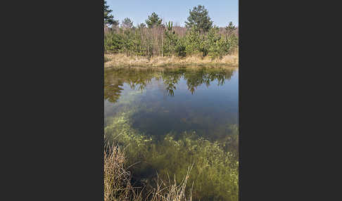 Thüringen (Thuringia)