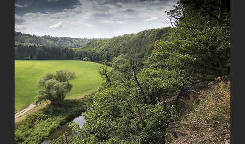 Thüringen (Thuringia)