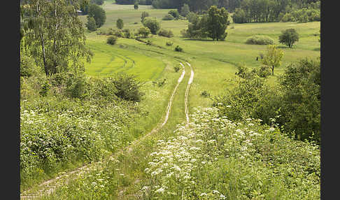 Deutschland (Germany)