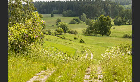 Deutschland (Germany)