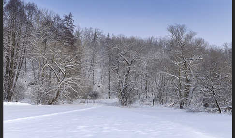 Thüringen (Thuringia)