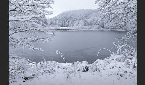 Thüringen (Thuringia)