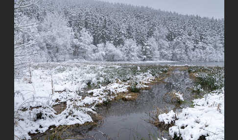 Thüringen (Thuringia)