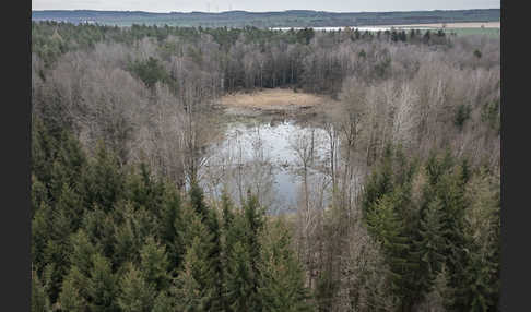 Thüringen (Thuringia)