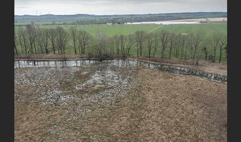 Thüringen (Thuringia)