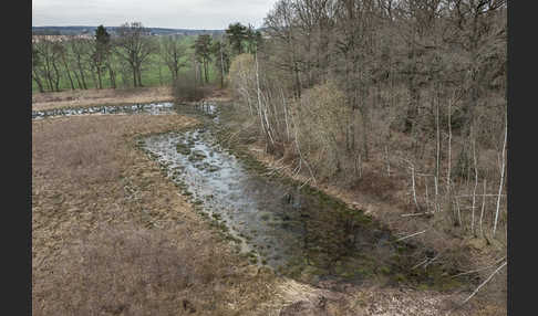 Thüringen (Thuringia)